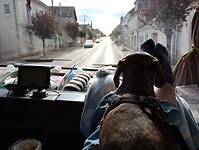 IMG_20220925_163420637_MP