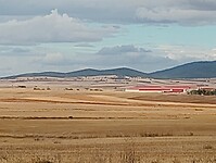 IMG_20220929_141748315
