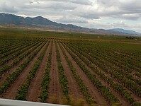 IMG_20220929_135414954