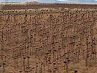 IMG_20220929_143338471
