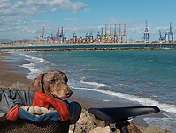 IMG_20220930_155429202