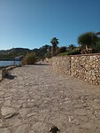 IMG_20221002_094822717