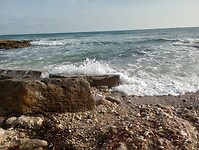 IMG_20221007_101536217_HDR