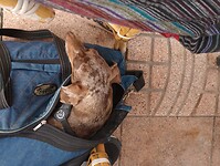 IMG_20221021_180340216