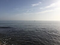 IMG-20221024-WA0004