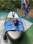 IMG-20221030-WA0007