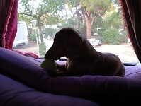IMG_20221102_165739226