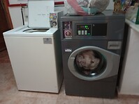 IMG_20221108_113154256