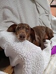 IMG_20221110_114858853