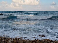 IMG_20221112_151050698_HDR