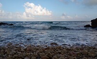 IMG_20221112_151006322_BURST002