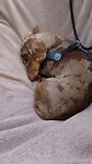 IMG-20221114-WA0005