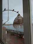 IMG_20221116_125214630
