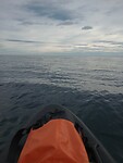 IMG_20221121_113306923