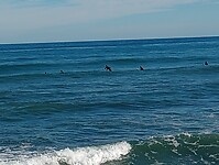 IMG_20221126_123111858
