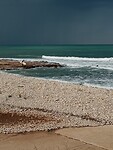 IMG_20221203_150214556