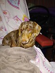 IMG_20221210_232407059