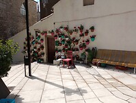 IMG_20230513_113534277
