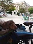 IMG_20230513_111242309