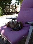 Ook in de relaxe modus
