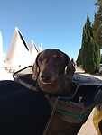 De navigator