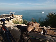 IMG_20230928_104658596