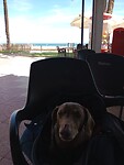 IMG_20230928_140016328