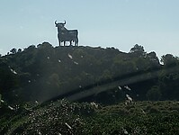 Daar is ie weer, El Toro
