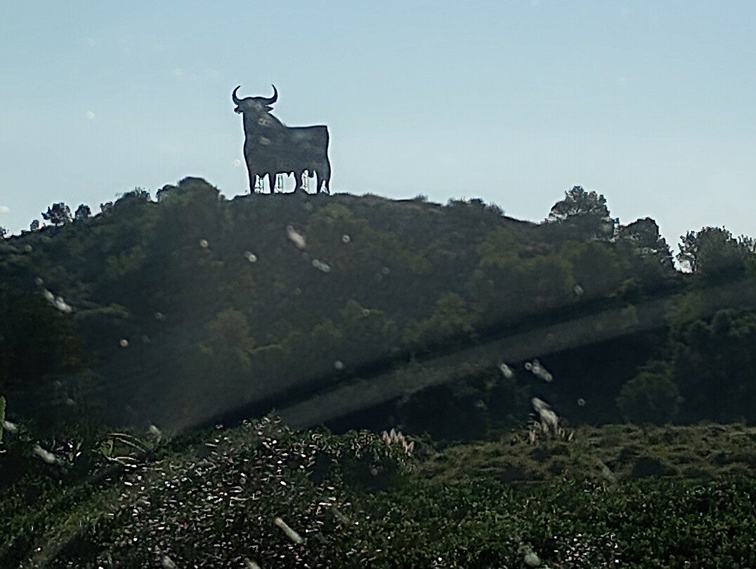 Daar is ie weer, El Toro
