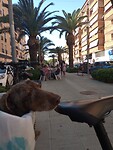 IMG_20231005_123101064