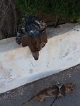 IMG_20231002_112609470