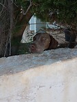 IMG_20231002_112604047