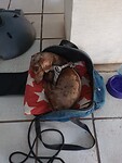 IMG_20231015_124754862