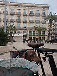 IMG_20240225_124616806