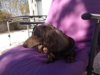 IMG_20240404_161003817