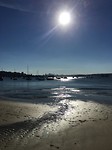 Rose Bay