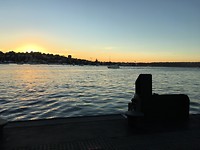 Rose Bay