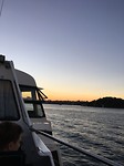 Rose Bay