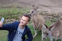 Kangaroo Day > Morriset Park