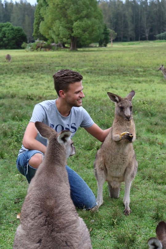 Kangaroo Day > Morriset Park