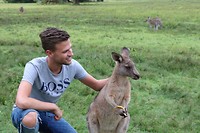 Kangaroo Day > Morriset Park