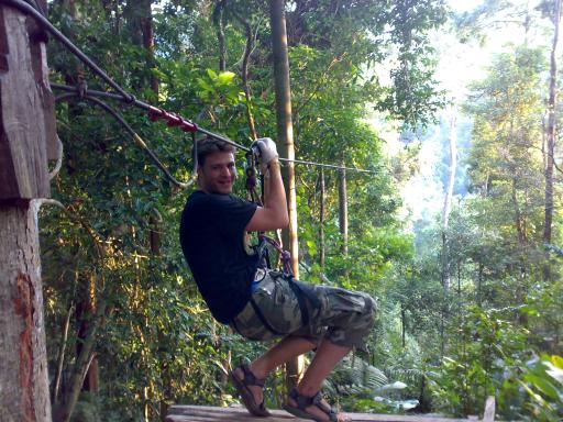 Gibbon X 5