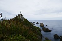 P1000766
