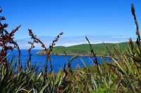 P1000826