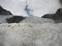 G0031537