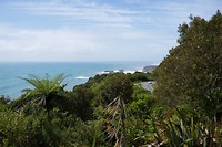 P1010445