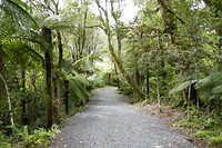 P1010452