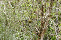 P1010457