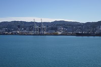 P1010963