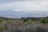 P1020132
